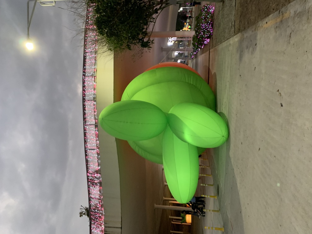 2023-02-10<br>中央公園花燈，好想住在裡面！
