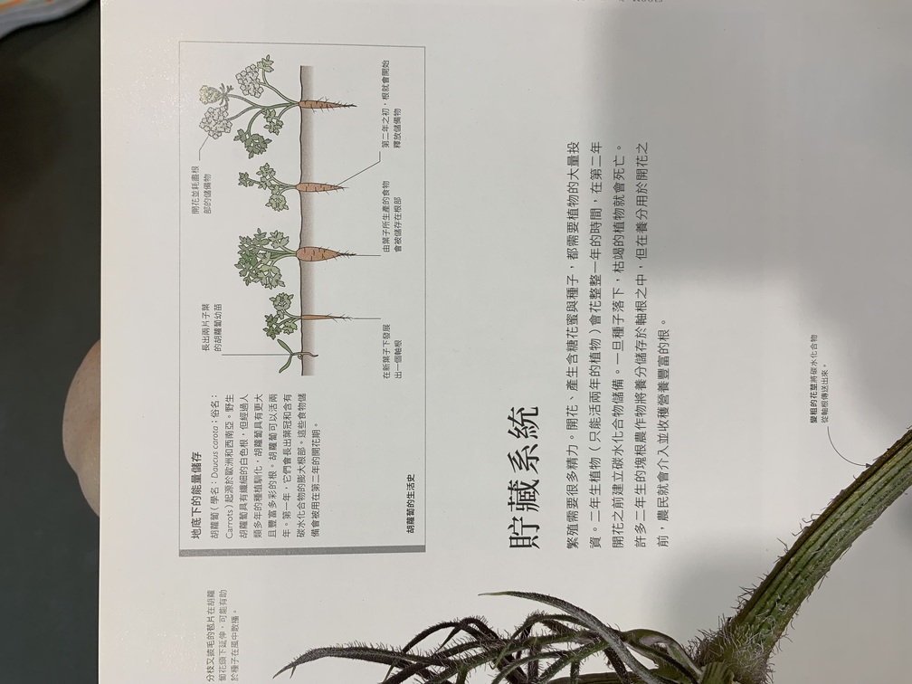 2023-10-14<br>書影。